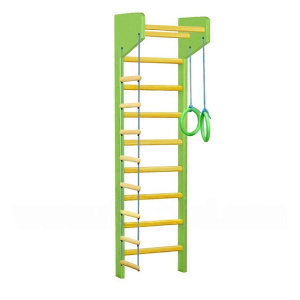 РКМ-229 РКМ-229