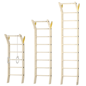 ТИЯ-СТ-100 ТИЯ-СТ-100