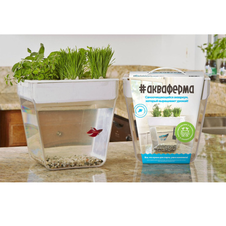 акваферма (5)